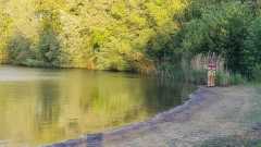 IMG-20260513-WA0028