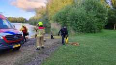 IMG-20260513-WA0042