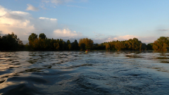 P5190080