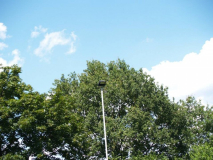1926823_662174097198498_1268233188443331807_n