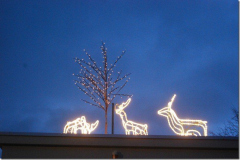 kerstbrunch2012_1