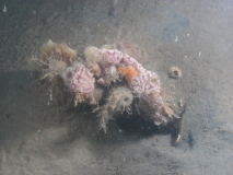 PICT0044