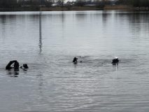 IMG_6382-scaled
