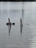 IMG_6388-scaled