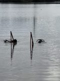 IMG_6389-scaled