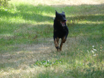 IMG-20220905-WA0004