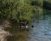 IMG-20220905-WA0017