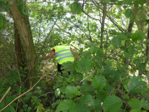 IMG-20220905-WA0018