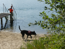 IMG-20220905-WA0022