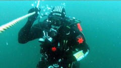 1618250_581386831943892_500522962_o